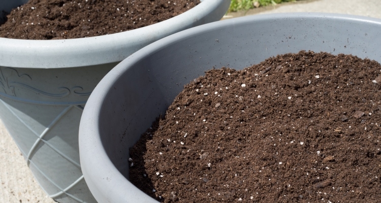 Containers filled with light-weight potting mix